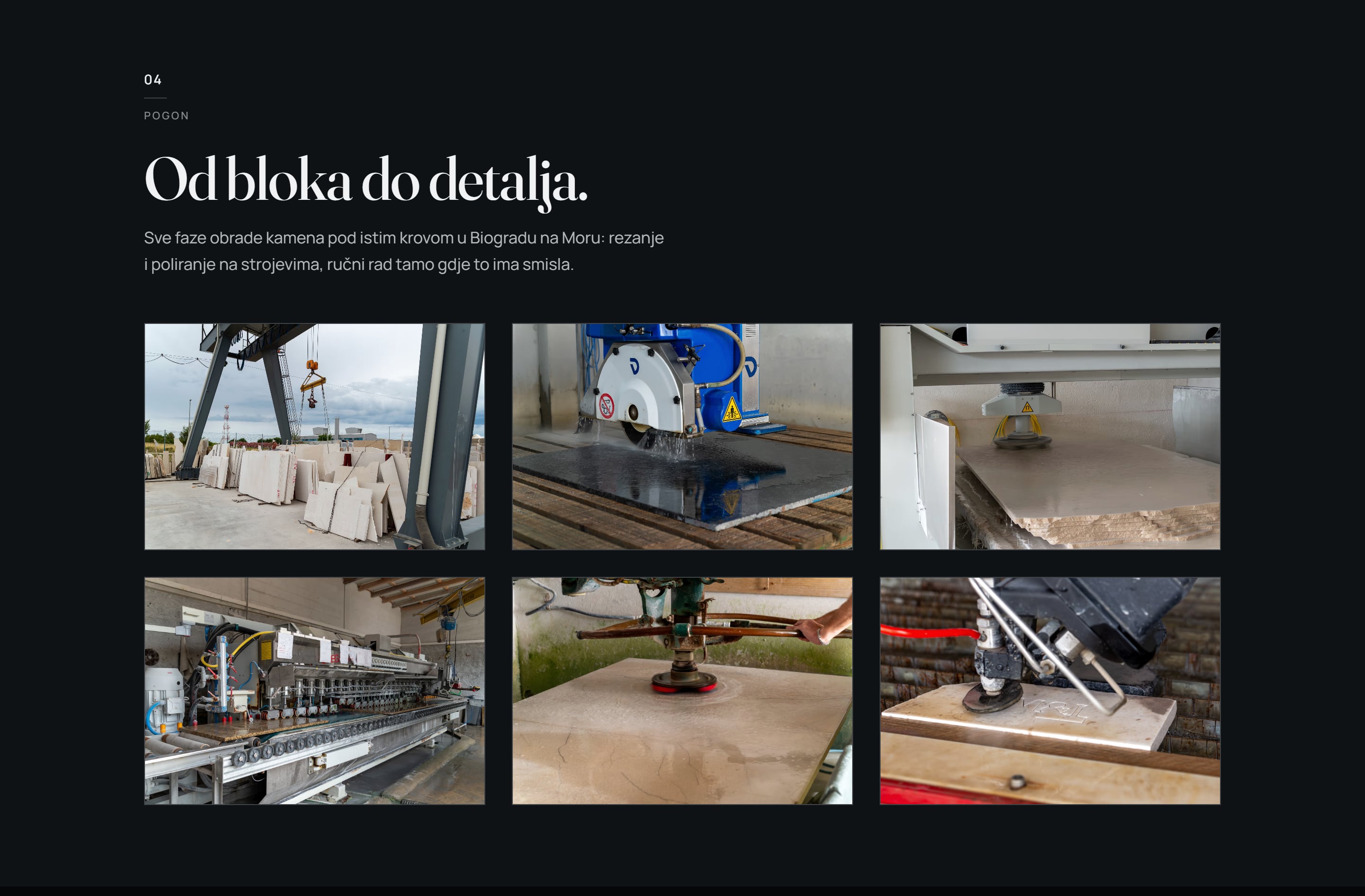 Markvinia