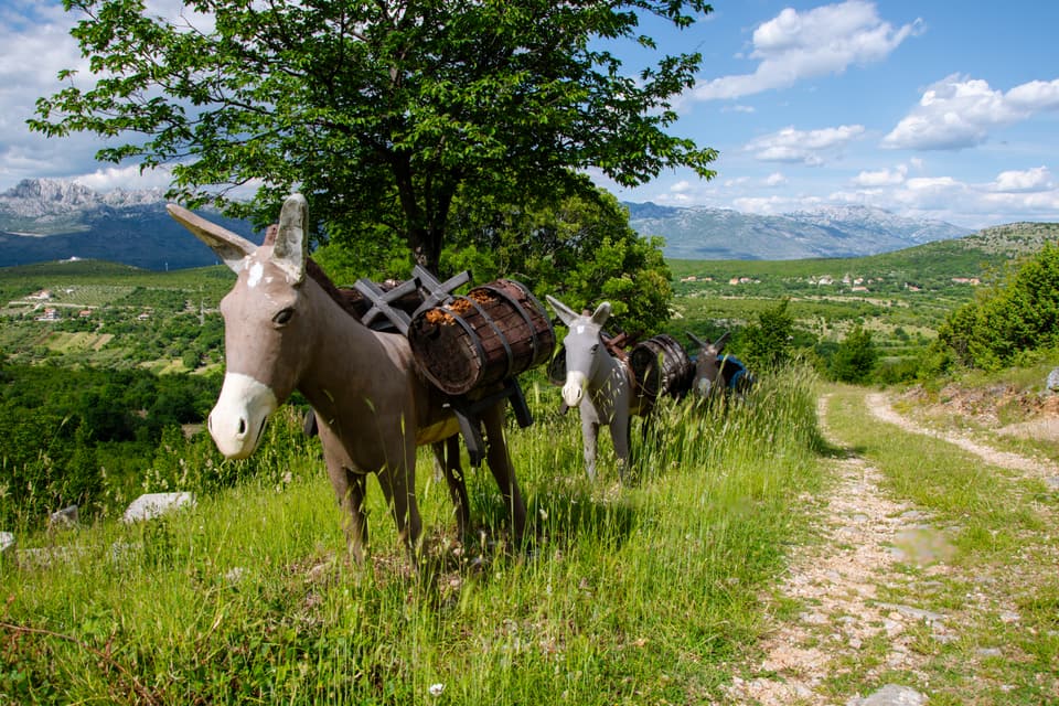 Karavana drvenih magaraca na putu kroz zaleđe, Kruševo