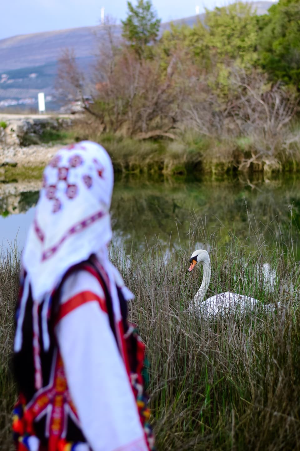 Pokretni mrtvi kut tradicije